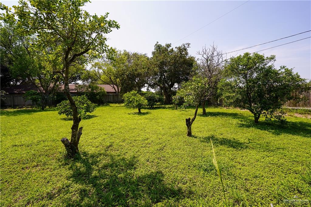 603 S Alamo Road, Alamo, Texas image 35