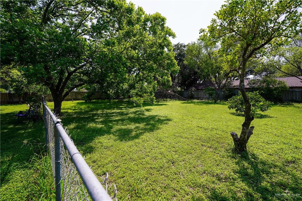 603 S Alamo Road, Alamo, Texas image 34