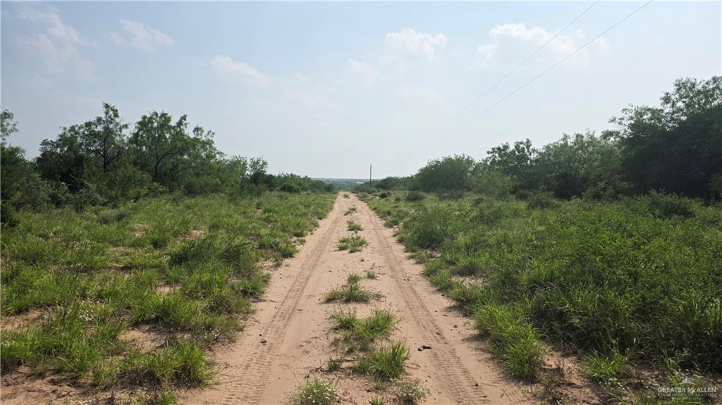 Las Escobas Road, Roma, Texas image 3