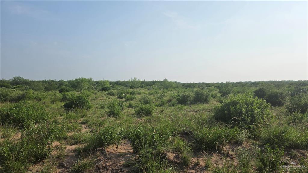 Las Escobas Road, Roma, Texas image 7