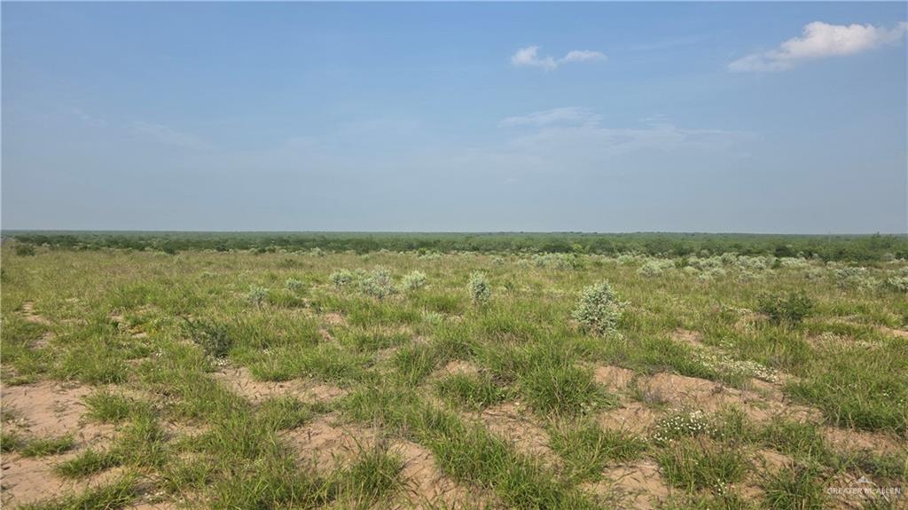 Las Escobas Road, Roma, Texas image 9
