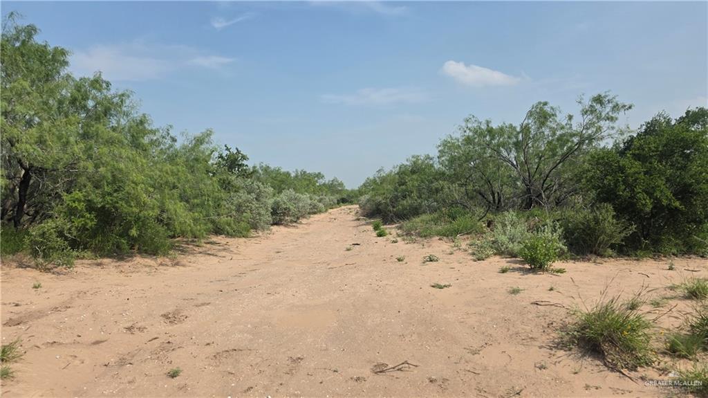 Las Escobas Road, Roma, Texas image 4
