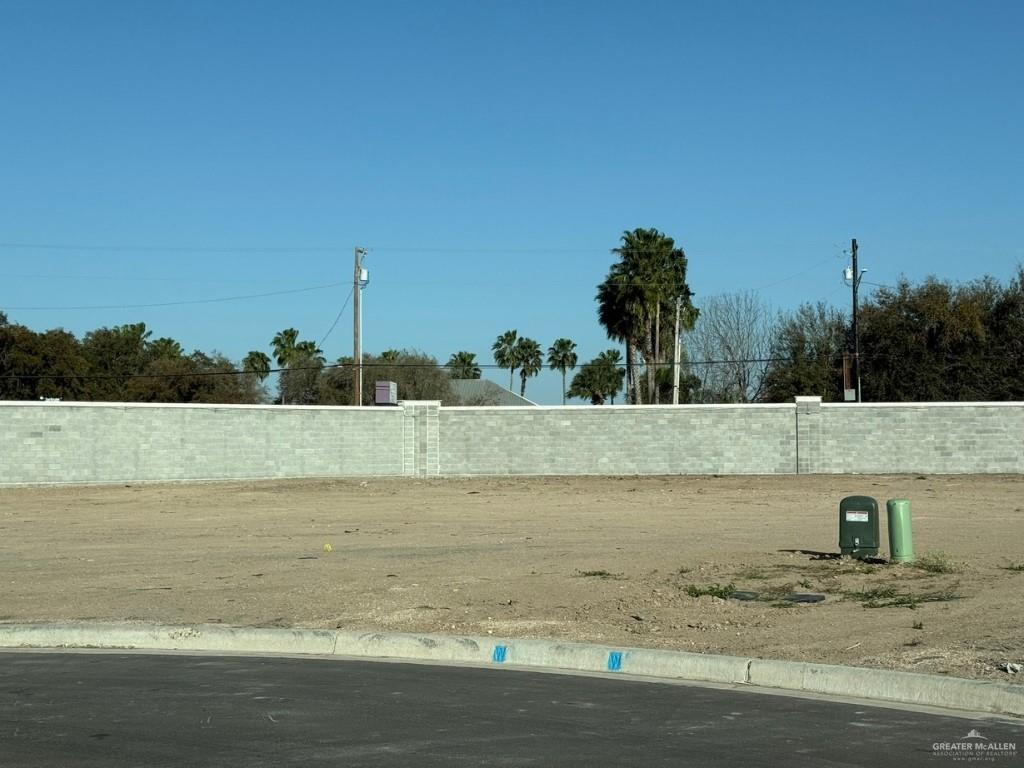 2455 W Brown Street, Edinburg, Texas image 4