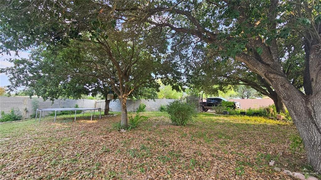 3106 E Maren Drive, Mission, Texas image 21