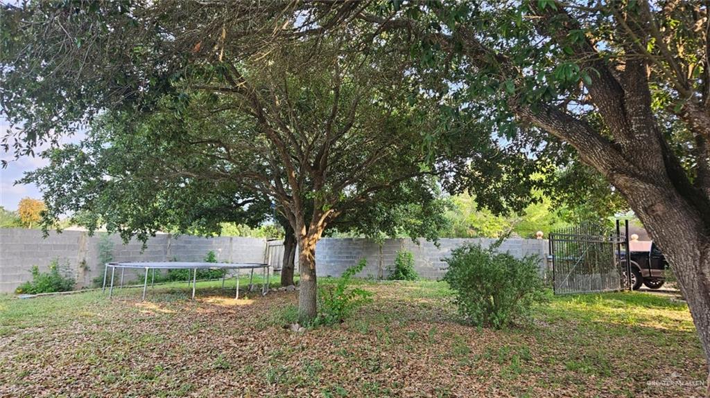 3106 E Maren Drive, Mission, Texas image 20