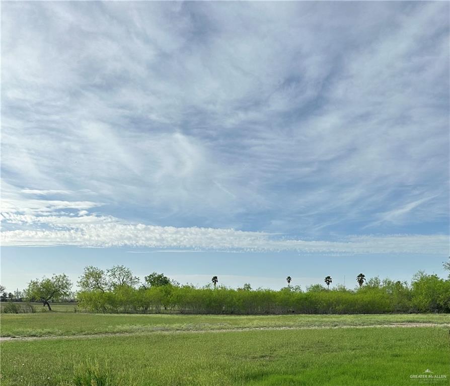 905 E Rhett Drive, Pharr, Texas image 4