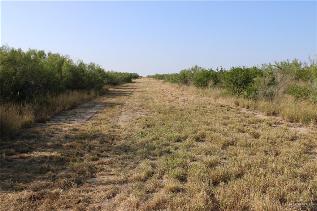 N Loma Blanca Road, Roma, Texas image 19