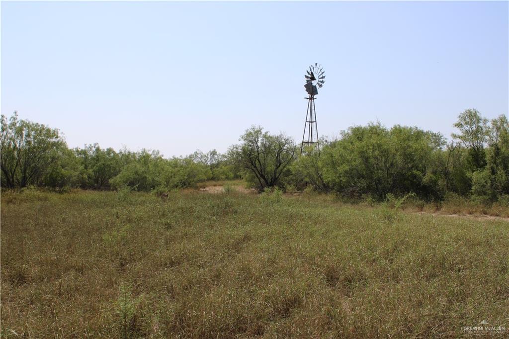 N Loma Blanca Road, Roma, Texas image 9