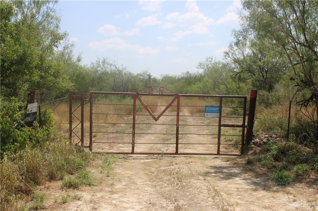 N Loma Blanca Road, Roma, Texas image 1