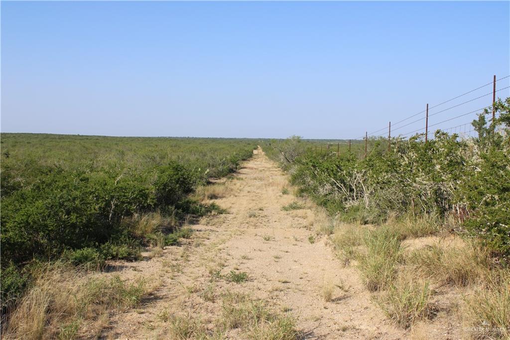 N Loma Blanca Road, Roma, Texas image 17