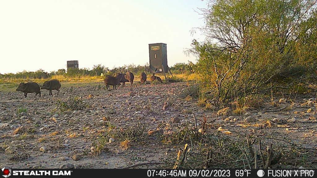 N Loma Blanca Road, Roma, Texas image 41