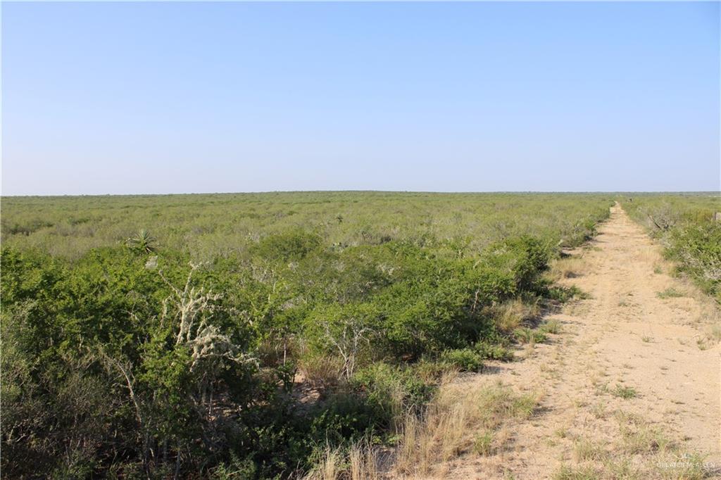 N Loma Blanca Road, Roma, Texas image 44