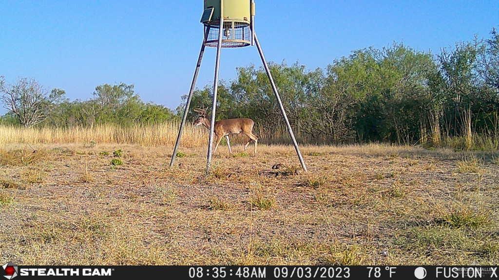 N Loma Blanca Road, Roma, Texas image 33