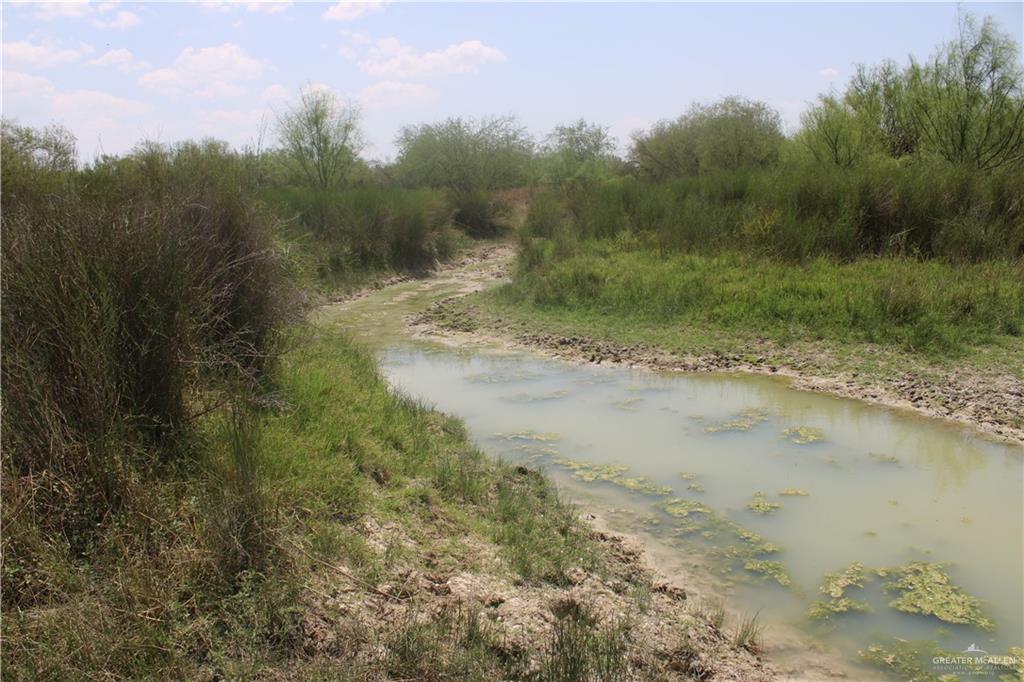 N Loma Blanca Road, Roma, Texas image 5