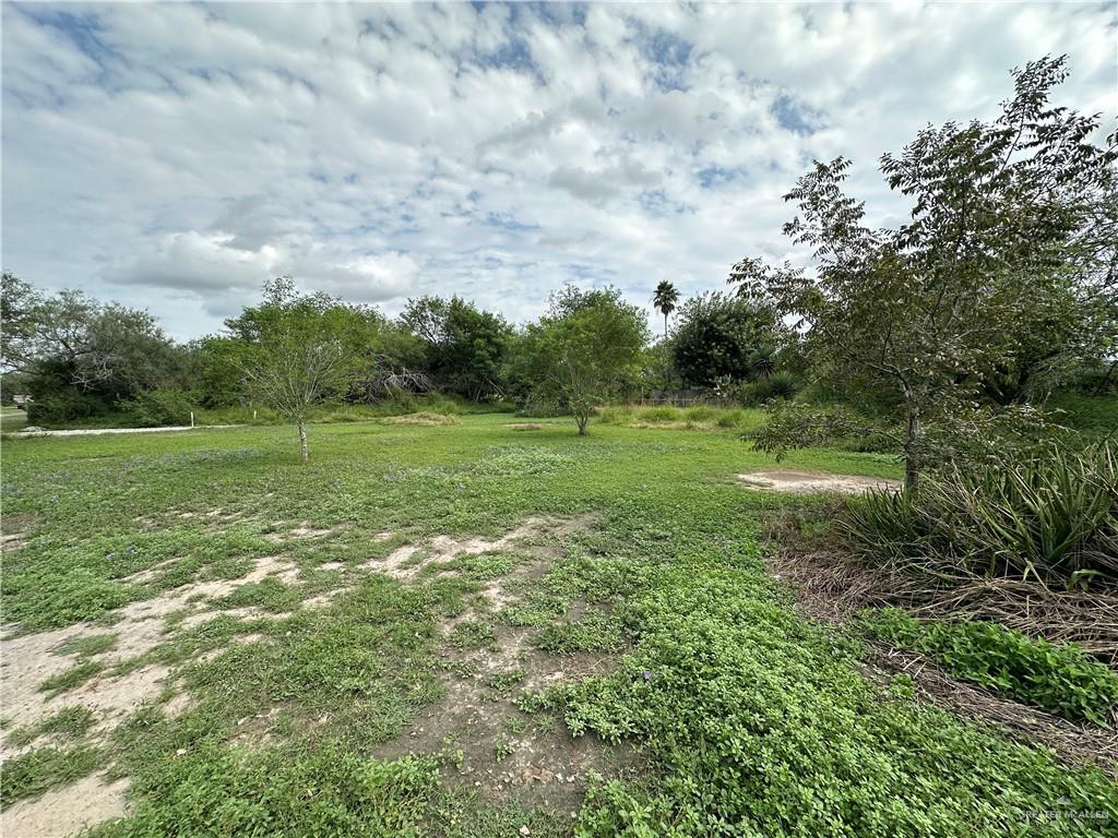 00 San Pedro Road, Brownsville, Texas image 4