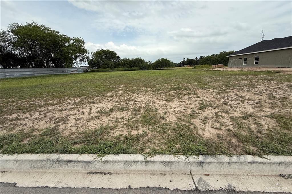 000 12th Street, Alamo, Texas image 3
