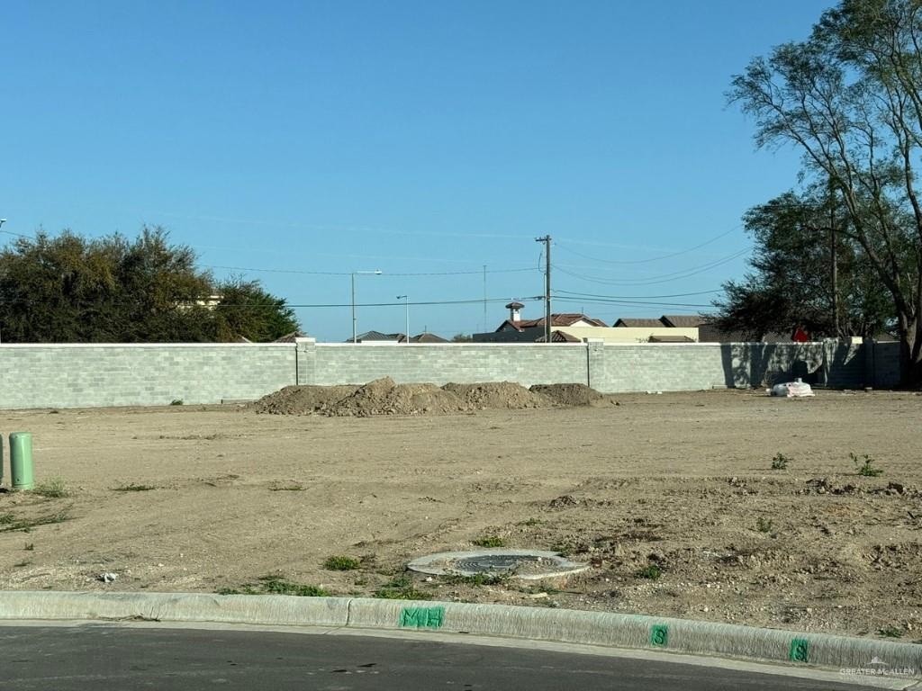 3216 S Wharton Avenue, Edinburg, Texas image 4