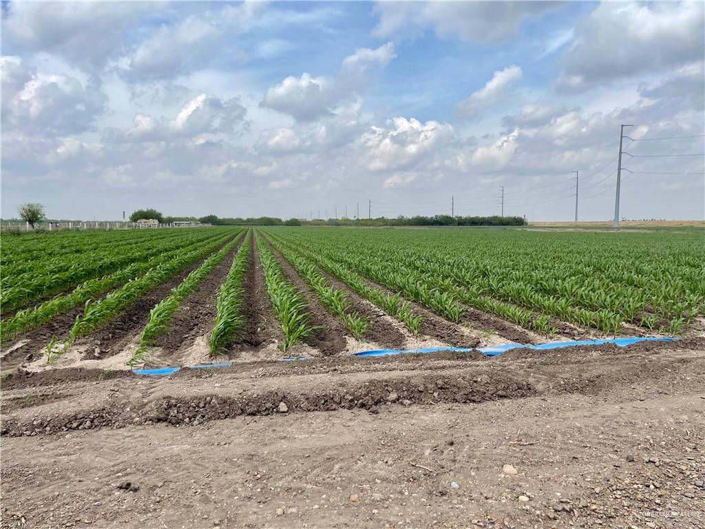 TBD N Frontera Road, Progreso, Texas image 3