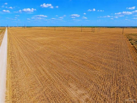 Vacant Land For Sale - 25737 Eyhorn Road<br/> Edinburg, TX 78541