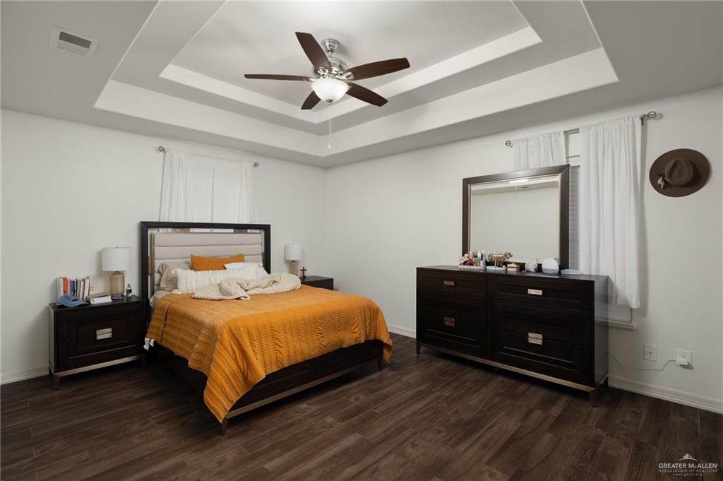 425 E Nebraska Road, Alamo, Texas image 6