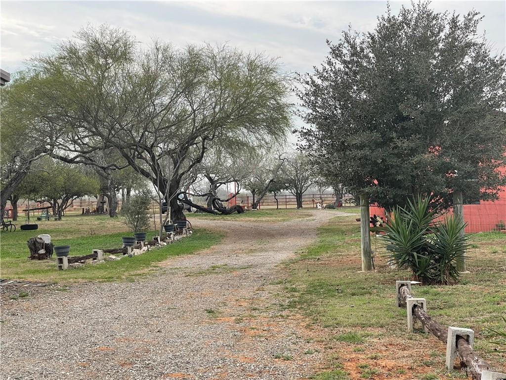 241 Delmita Road, Delmita, Texas image 7