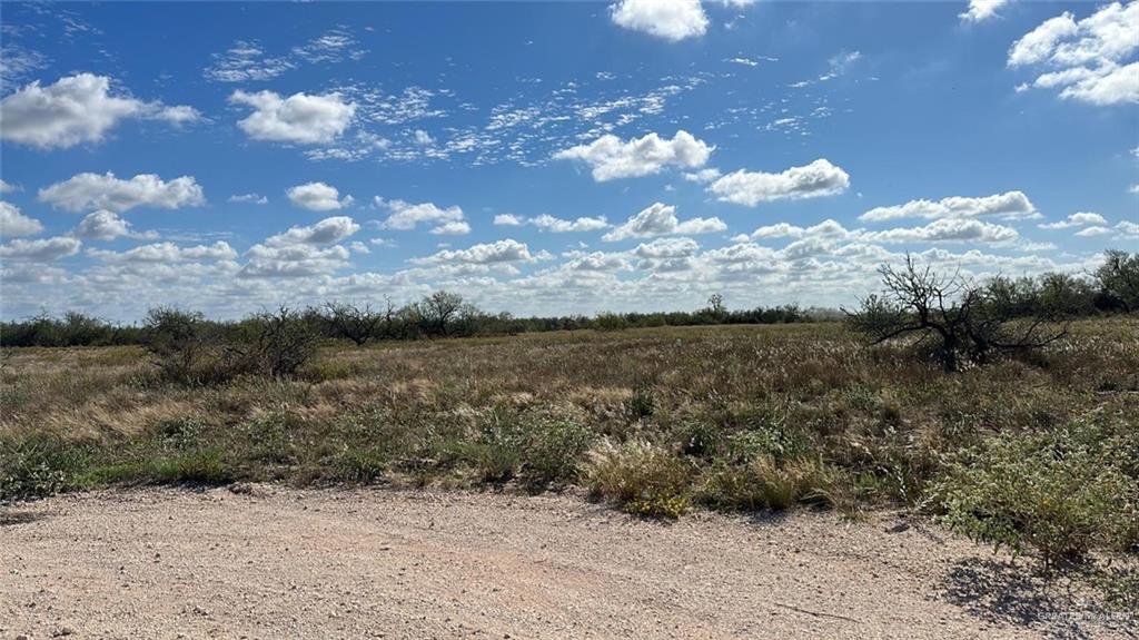 Lot #11  2007 Fm 755, Encino, Texas image 1