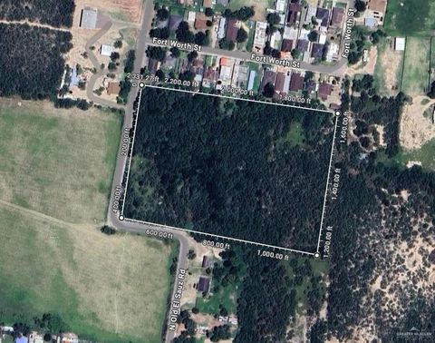 Vacant Land For Sale - 00 Old El Sauz Road<br/> Starr County, Rio Grande City, TX 78582