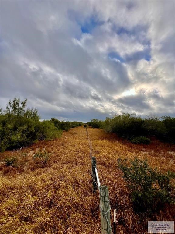 705 AC Fm 2687, Zapata, Texas image 36