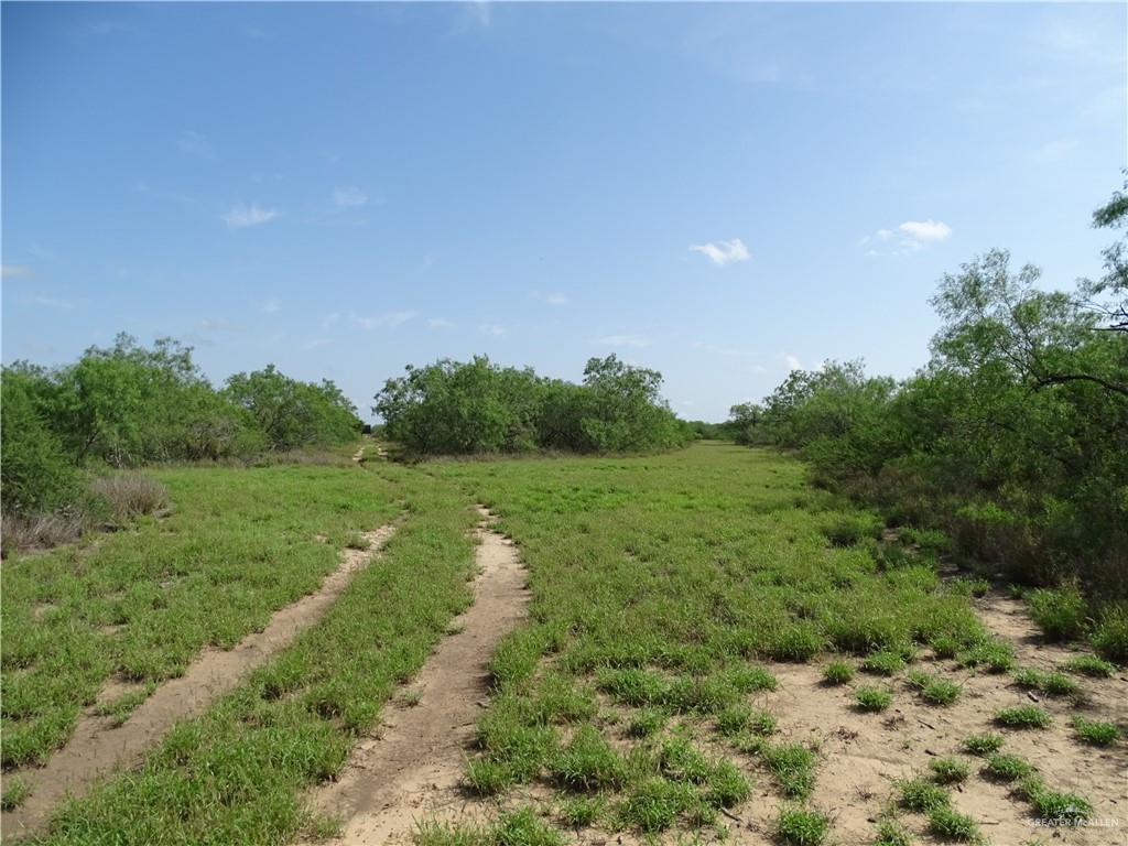 Fm 2294 Highway, San Isidro, Texas image 12