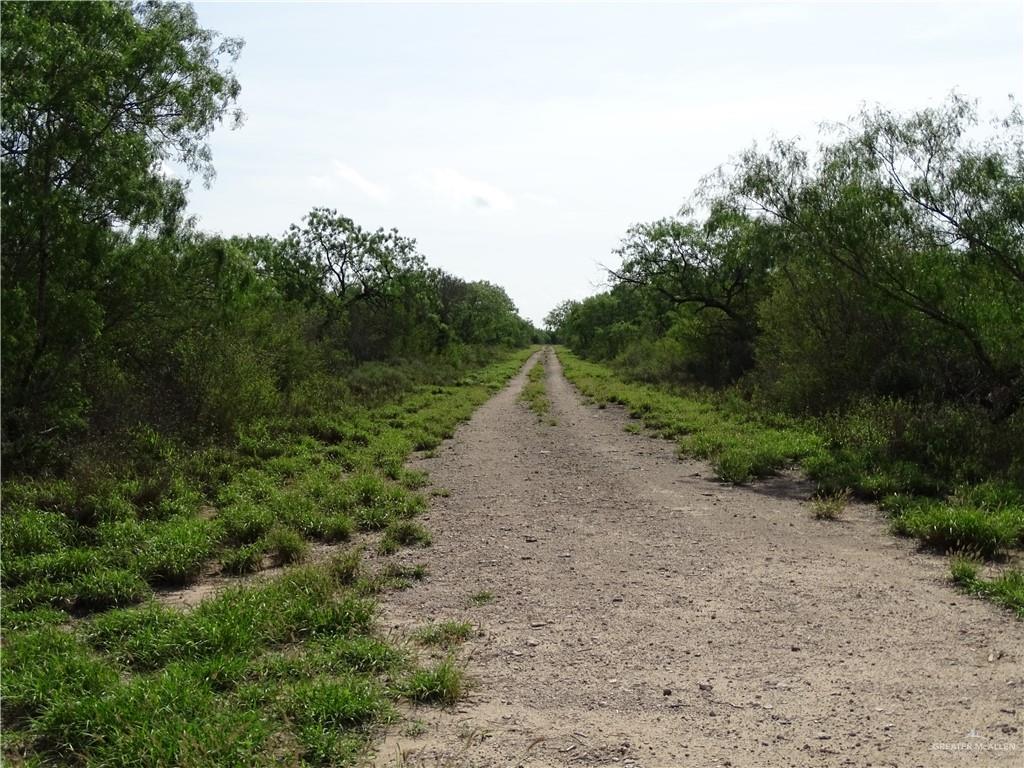 Fm 2294 Highway, San Isidro, Texas image 6