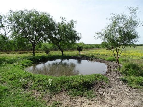 0 FM 2294 Highway San Isidro TX 78588