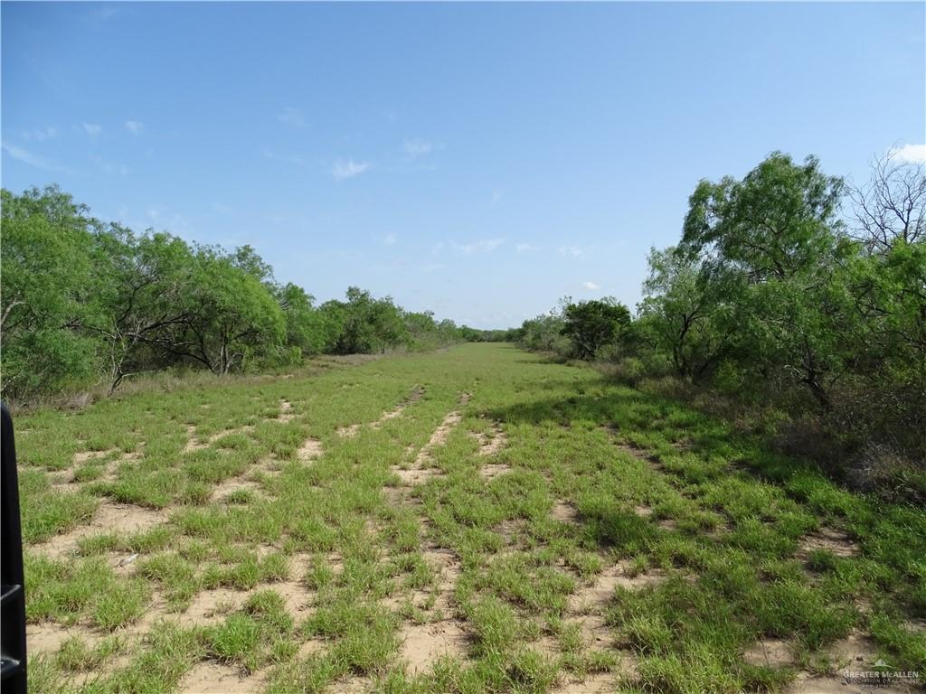 Fm 2294 Highway, San Isidro, Texas image 10