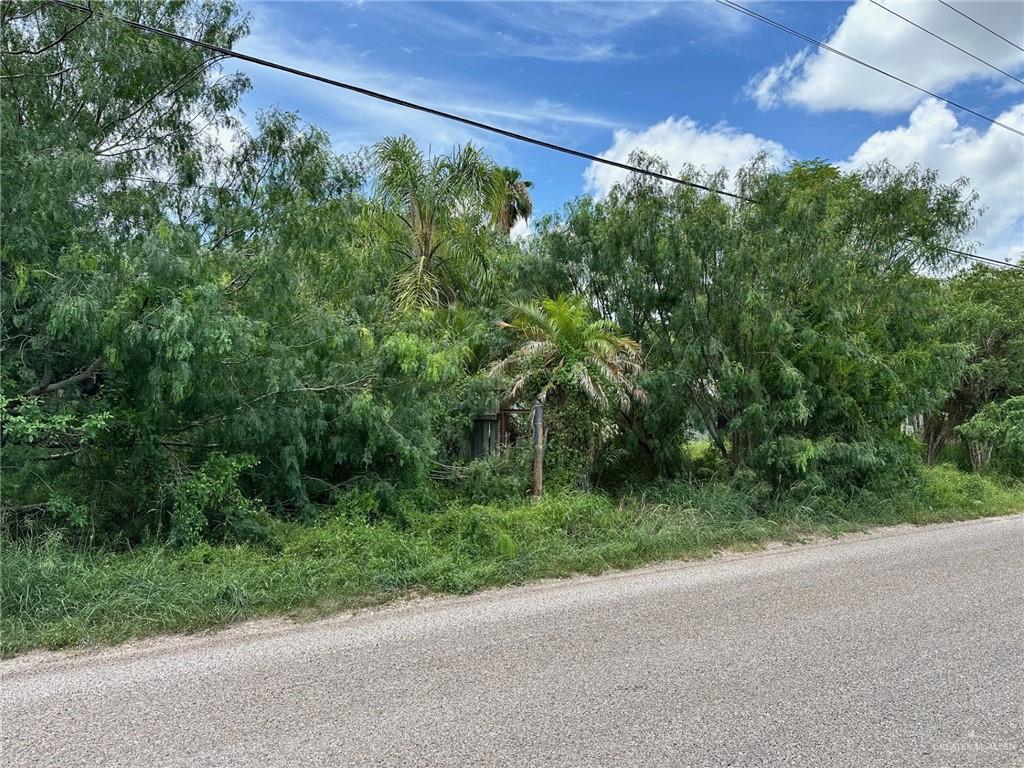 9923 Mile 4 Road, Weslaco, Texas image 4