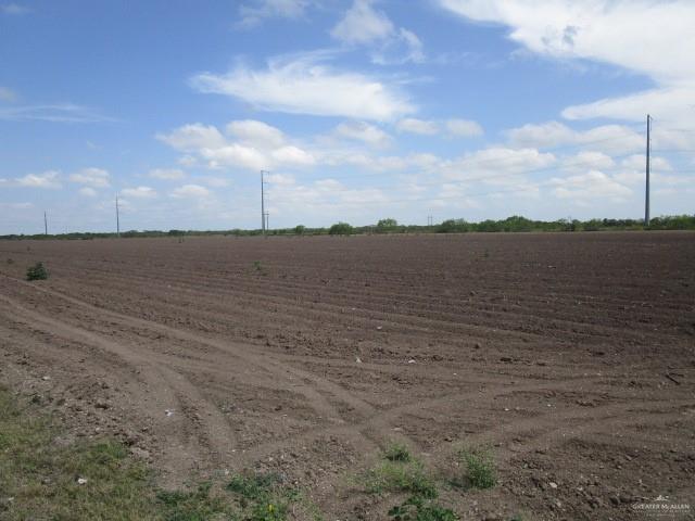 30 Acres Fm 732, San Benito, Texas image 5