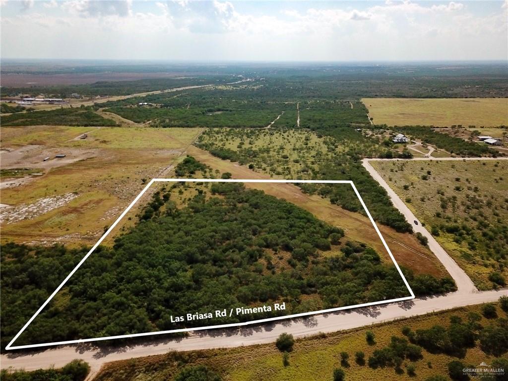 Lot 3 Pimenta Road, Rio Grande City, Texas image 1