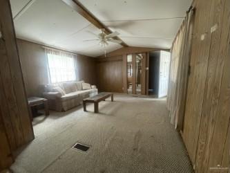824 Main Grove Street, Donna, Texas image 16