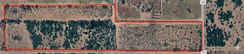 Vacant Land For Sale - 309 Cr 309<br/> Brooks County, Encino, TX 78353