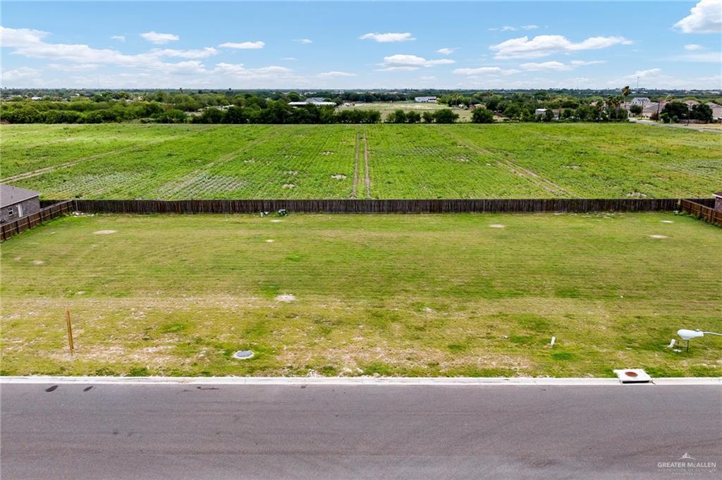 816 W Sunset Valley Street, Alton, Texas image 1