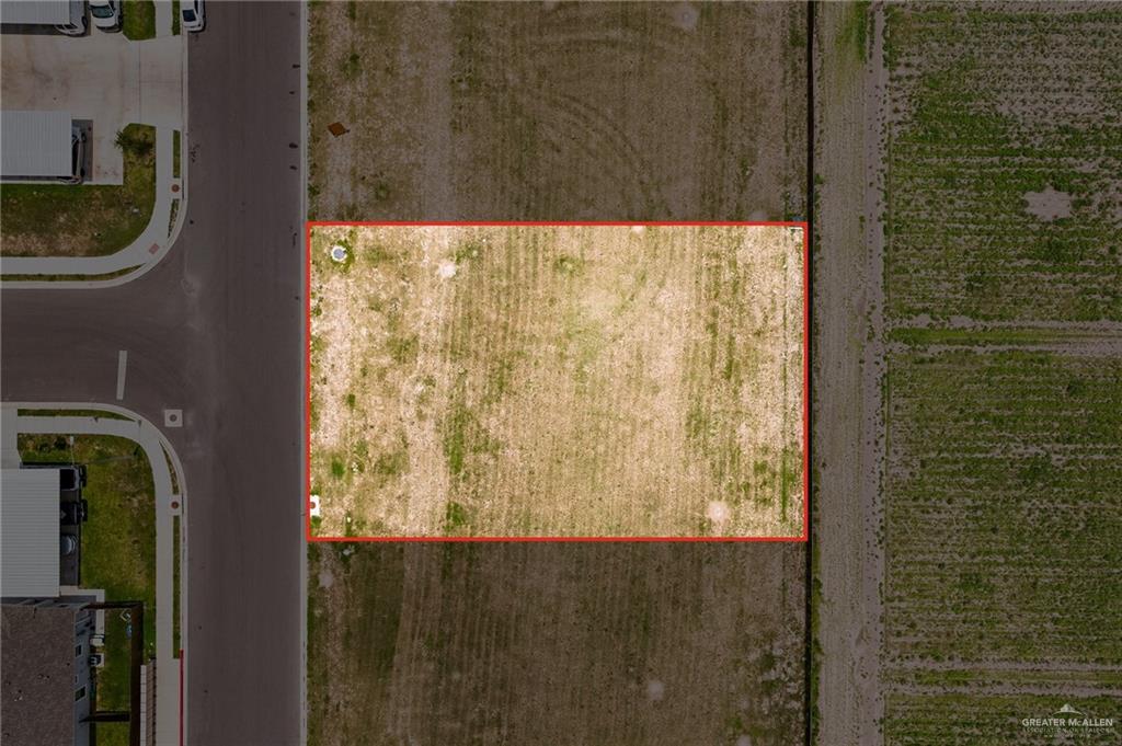 816 W Sunset Valley Street, Alton, Texas image 2