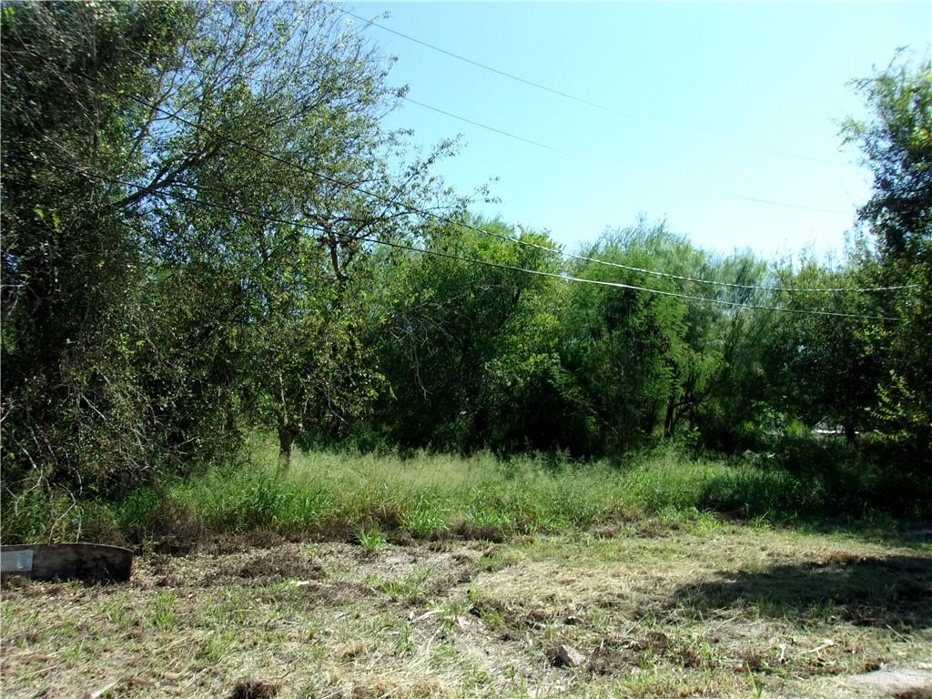 2007 Hermosillo Avenue, Alton, Texas image 13