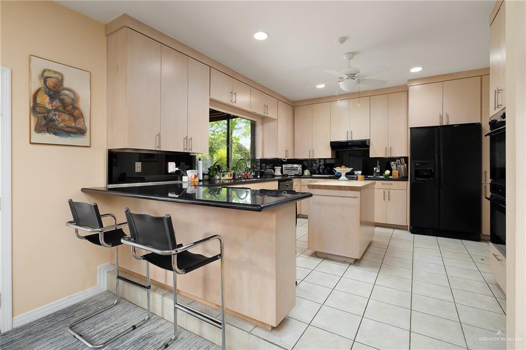 1113 Xanthisma Avenue, McAllen, Texas image 13