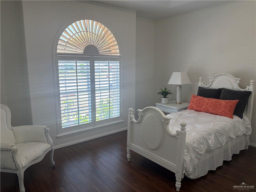824 Lucy Drive, Alamo, Texas image 29