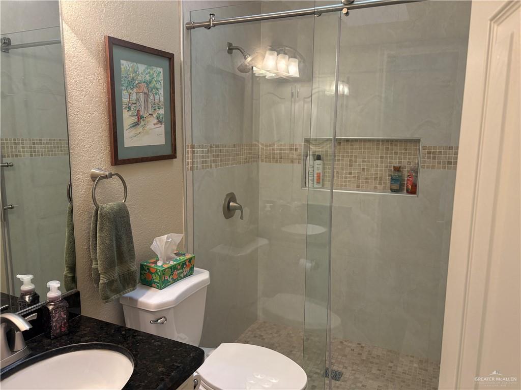 431 Rexine Drive, Alamo, Texas image 31