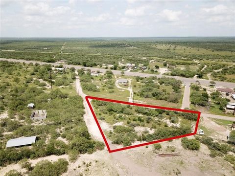 Vacant Land For Sale - Los Indios Lane<br/> Starr County, Roma, TX 78584