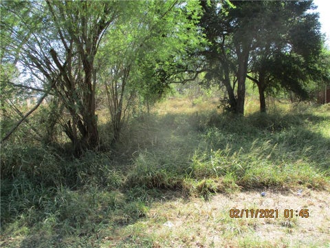 Vacant Land For Sale - E Mirasoles Street<br/> Starr County, Rio Grande City, TX 78582