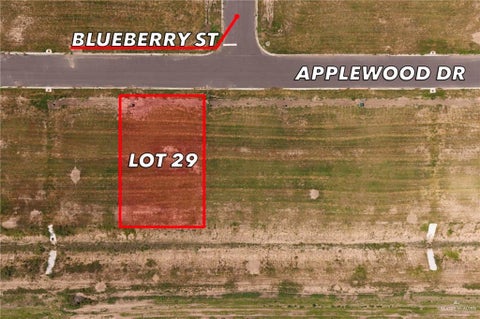 Vacant Land For Sale - 29 Applewood Street<br/> Weslaco, TX 78596