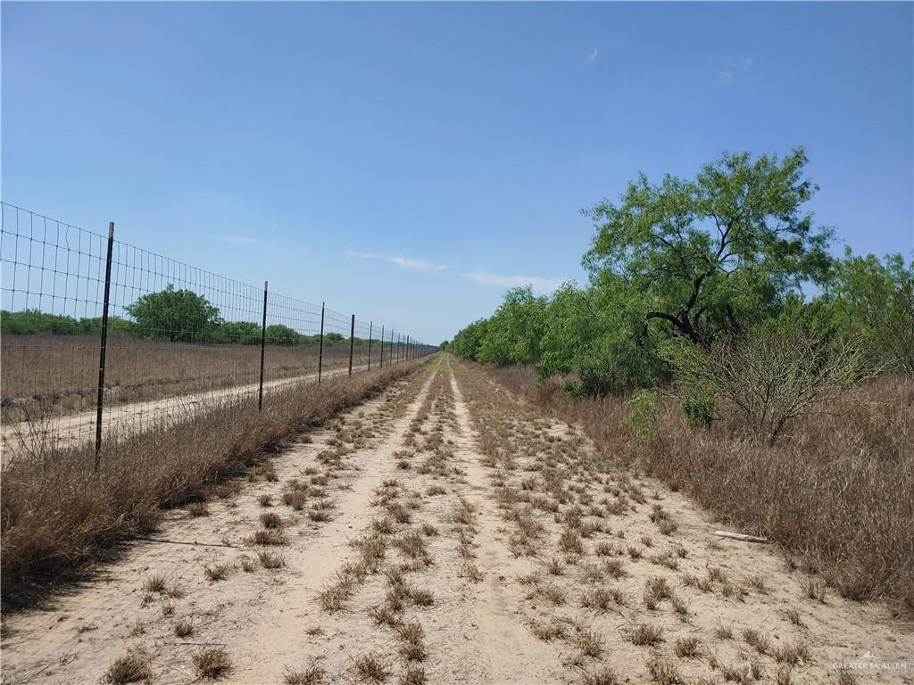 00000 N Mile 7 North, Penitas, Texas image 4