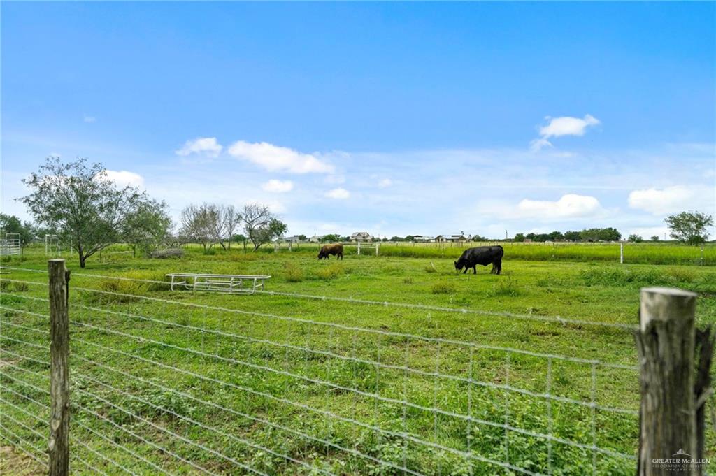 34656 Black Buck Drive, Edinburg, Texas image 32