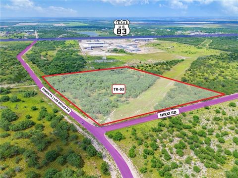 Vacant Land For Sale - TR 3 Pimenta Road<br/> Starr County, Rio Grande City, TX 78582