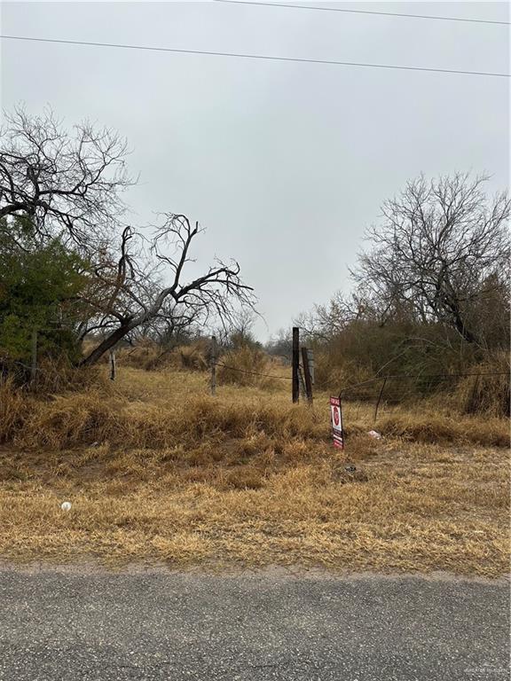 Cr 3038, Falfurrias, Texas image 1